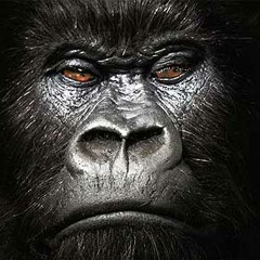 Como chilla la tierra mezcla Ft Waren de Fenrir