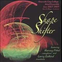 Steven Schmidt: Shape Shifter