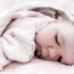 Тавтай Нойрсоорой