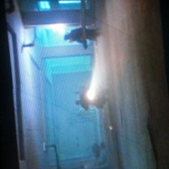 GreggreG. A Taste OF thr FUTURE