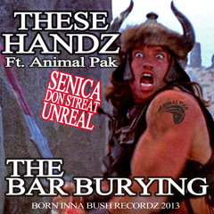 THESE HANDZ ft:AP - THE BAR BURYING