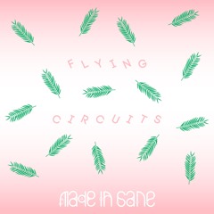 Made In Sane - Flying Circuits (Mørkeby's ‘Bissi Zebra’ Remix)