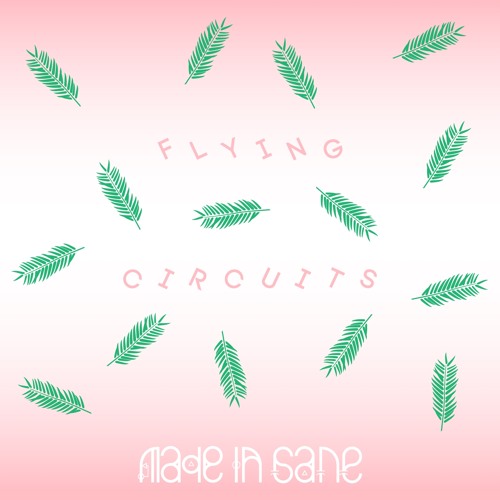 Made In Sane - Flying Circuits (Man Power Remix)