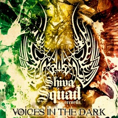 Paraforce - Voices In The Dark