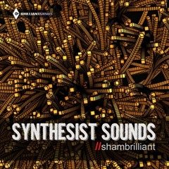 Discopoetic Dinda - Sham Brilliant Hamijaya