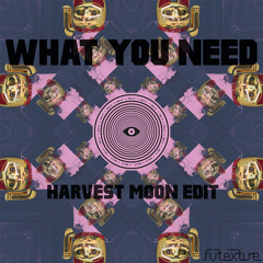 Flume - What You Need (Futexture's Harvest Moon Edit)