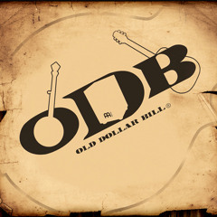 09 I  Swear I Killed My Liver (Over You) (from the Debut Album 'Old Dollar Bill' 2010)