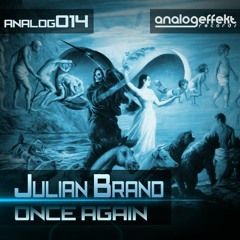 [ANALOG014]Julian Brand - Music Like Me (CUT)
