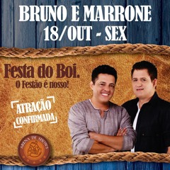 Bonde do brasil - Meu Amor Voltou