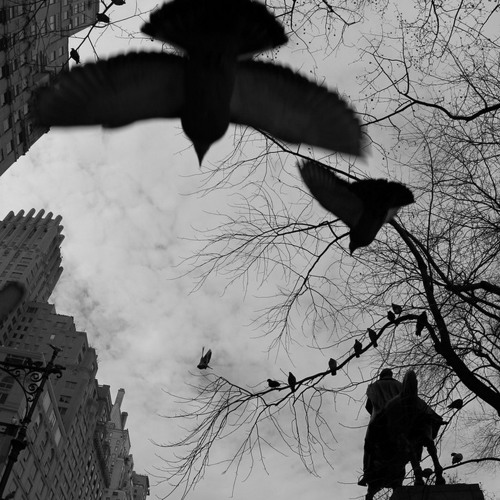 Toe - Past And Language