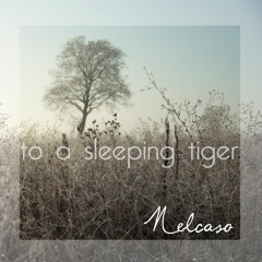 To A Sleeping Tiger