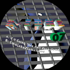 R-Zone 07 - If You Going Thru Hell Keep Going / Emojako / Subatomi