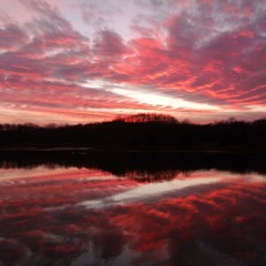 Gonna Do (Prod. By Knucklez) feat. Ler Stevens