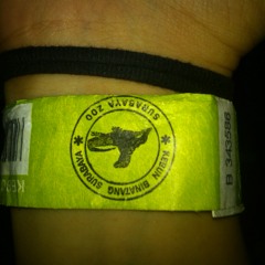 Lenny Kravitz - Can't Get You Off My Mind (cover) Ft. Guitarist Altarise