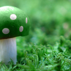 •| Green |•