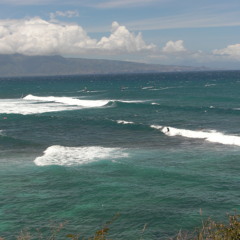 Funky Beaulah -If you don't get it the first time, back up and try it again