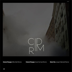 Cid Rim - Mute City (Joseph Marinetti Remix)