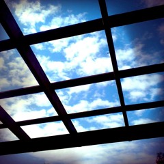 vida como transcurre la vida