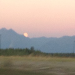 I'm On The Good Coke (An Alcohol)