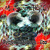 Artwork for Mix D'j'C - Progr Psytrance - Goa 26 09 2013  (02)