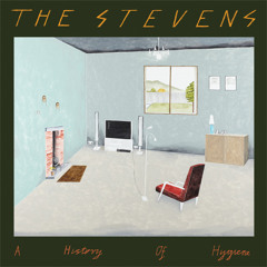 The Stevens - Hindsight