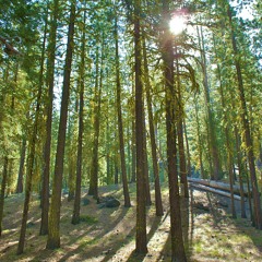 To The Mountains With You