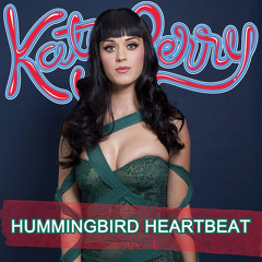 Hummingbird Heartbeat - Katy Perry Guitar Cover