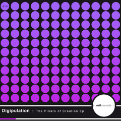 Digipulation - Bambule (Nell Rec.)  support from:Stacey Pullen, Mark Knight ...