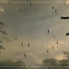 NO BORDERS - SACH K.