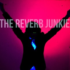 The Reverb Junkie - Selfish