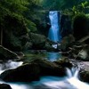 Theme Music - TamilWire.com