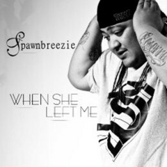 SPAWNBREEZIE - When she left me