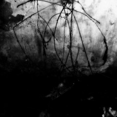 xuNx - Hoshiyo's Theme