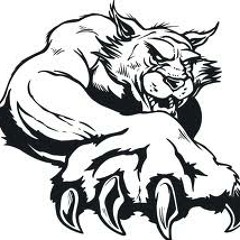 Wildcats (Theme Song)