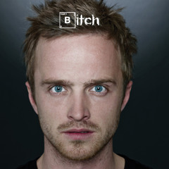 Jesse Pinkman - BITCH