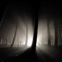 Dibold - Way Out The Forest