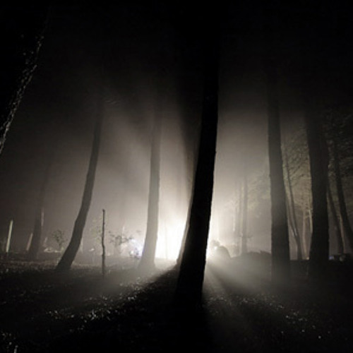 Dibold - Way Out The Forest