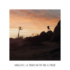 MELO-X | A Tree Must Be A Tree