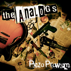 THE ANALOGS - Poza Prawem