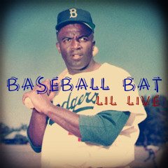 Baseball Bat