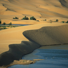 تنبيهات مهمة لطالب العلم - الشيخ صالح العصيمي