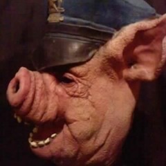 quiero ser policia - mañana me chanto