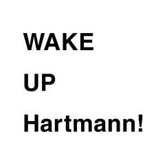 起きろ、ハルトマン(VIP)