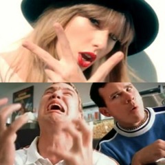 Dammit 22 (Mashed Up Tylor Swift With Blink 182 )