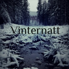 Malin Gustafsson - Vinternatt