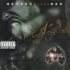 Method Man - All I Need (Timmy T Remix)