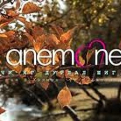 Anemone - Чи яг дурлал шиг