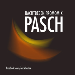 Pasch - NACHTBEBEN Promomix 2013