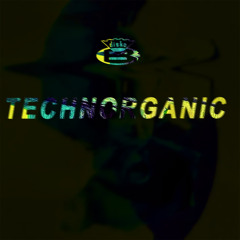 TECHNORGANIC (ORIGINAL MIX)