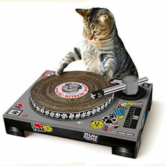 Scratch Session 2013